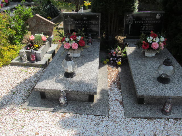 Grób Stanisława Trzeciakiewicz